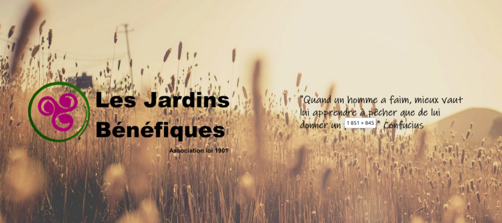 Capture du 2026-01-29 14-44-36