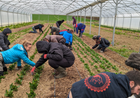 Capture du 2026-01-30 14-26-30